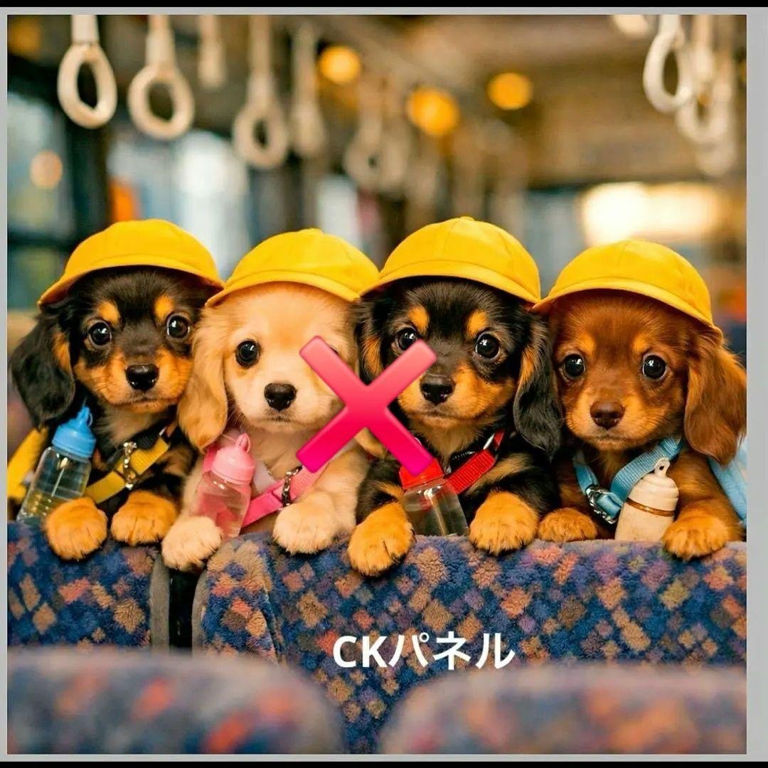 激レアトイプー、柴犬、パピヨン、ダックス、ポメラニアン、フレンチブルパネル生地