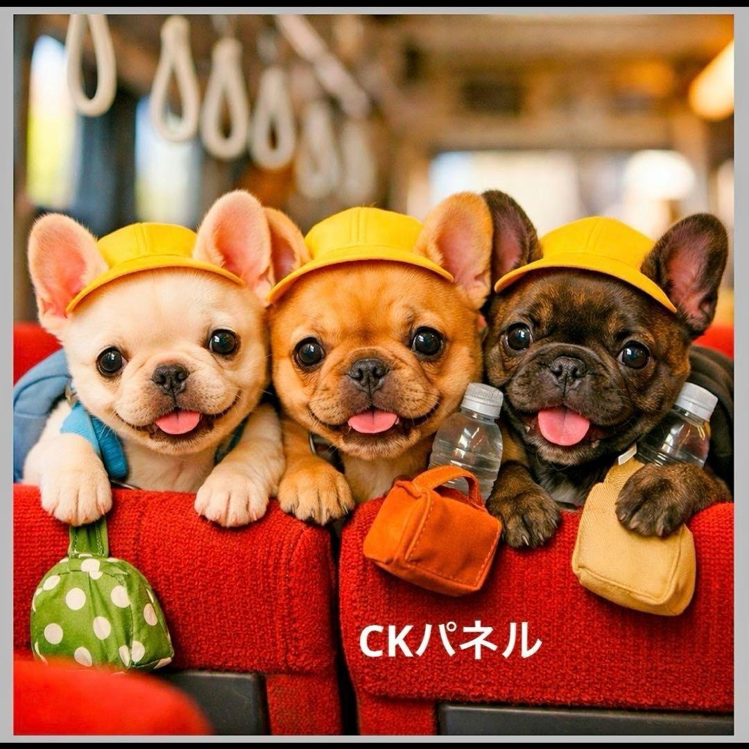 激レアトイプー、柴犬、パピヨン、ダックス、ポメラニアン、フレンチブルパネル生地